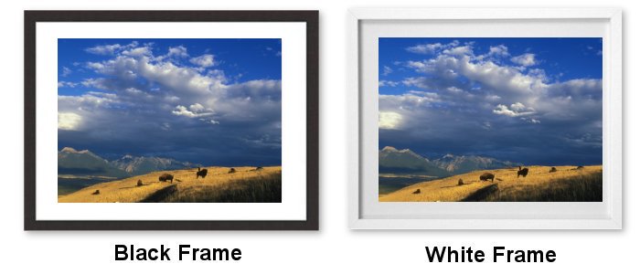 Select Your Frame